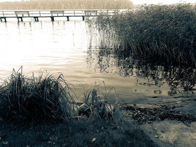 Herbst in Lindow (Mark)